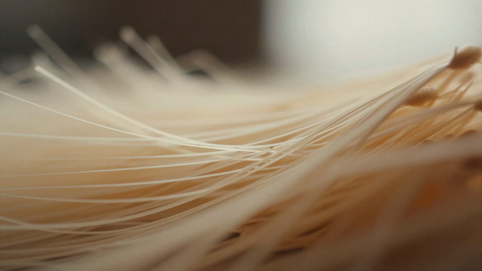 Plant protein pulled apart into aligned strands — texture, up close